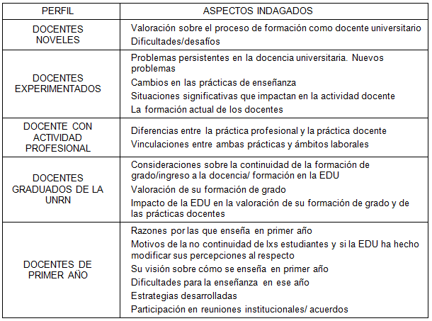 Aspectos indagados en entrevista, según perfil