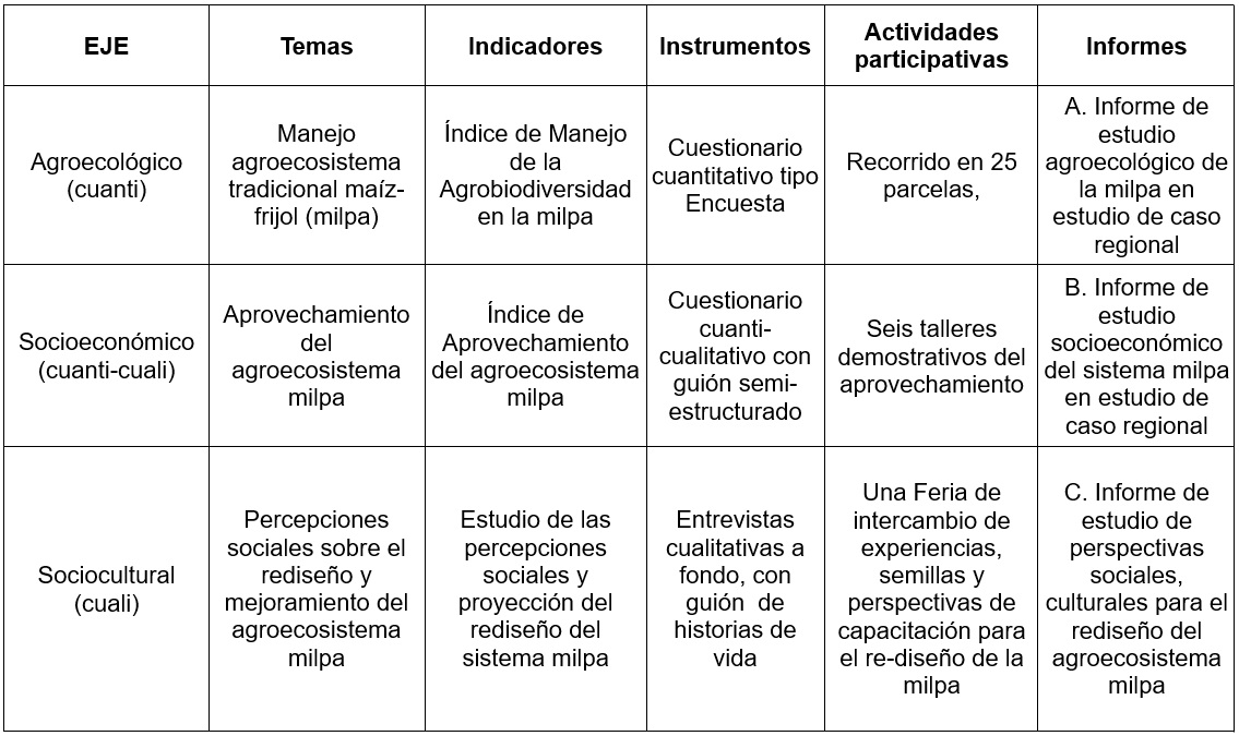 Matriz de ejes, temas, indicadores, instrumentos y actividades. Ejemplo.